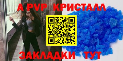 мет Кингисепп