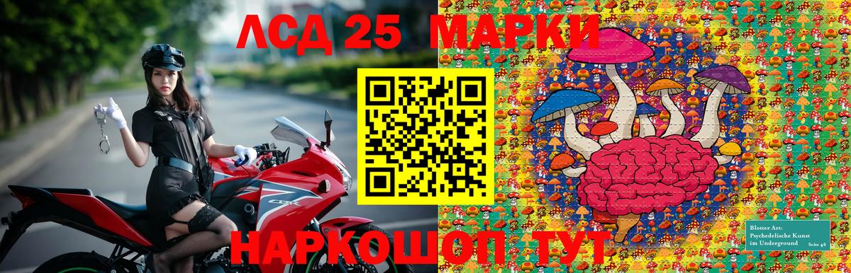 цены наркотик  Наркотические марки 1500мкг  Холмск  Вход с VPN  Наркотические марки 1500мкг 