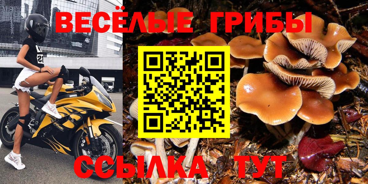 Холмск  Галлюциногенные грибы MAGIC MUSHROOMS  Вход с VPN 